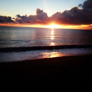 Sign up for credit cards, and travel to Hawaii! 
