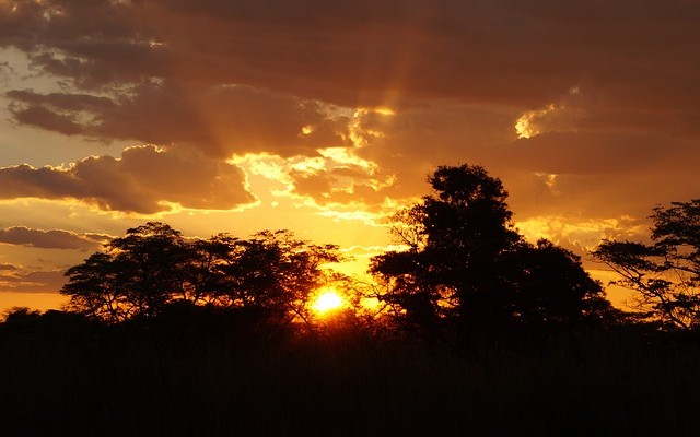 Traveling to Africa Nearly Free!